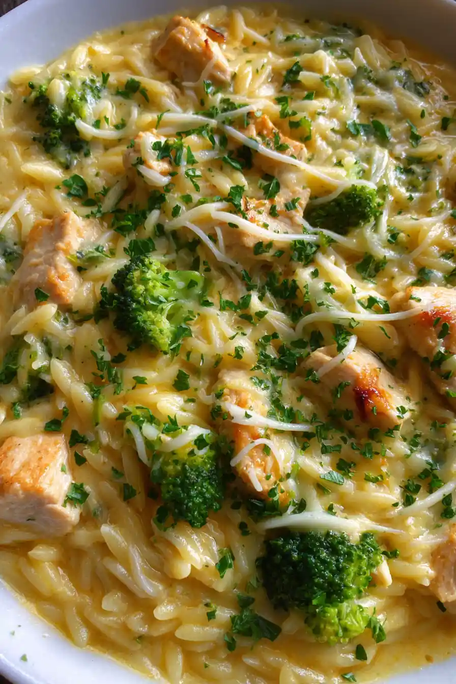 Easy Cheesy Chicken Broccoli Orzo