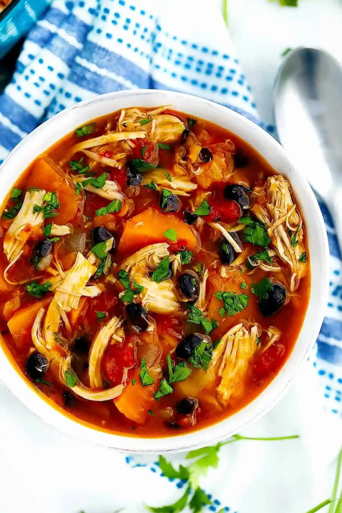 Chicken Stew with Sweet Potatoes and Black Beans 3 Chicken Stew with Sweet Potatoes and Black Beans